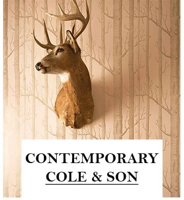 Contemporary Cole & Son